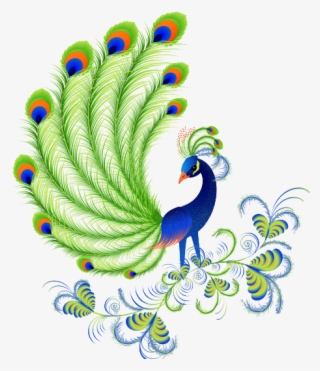 Peacock Picture In Cartoon Beautiful