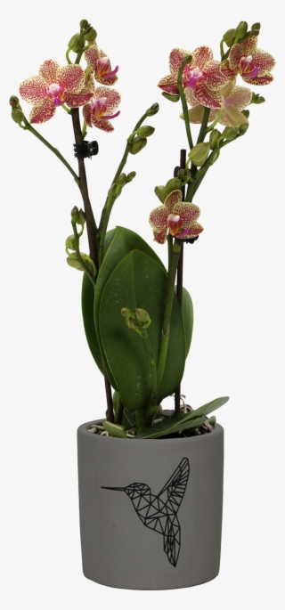 Flower - Artificial Flower