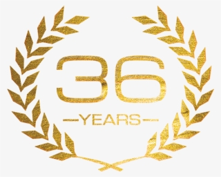 35 Years - Shorts On Tap