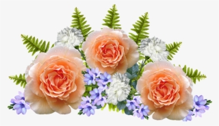 Flowers, Arrangement, Decoration - Hybrid Tea Rose