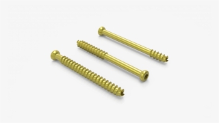 Image Gallery - Cannulated Screw