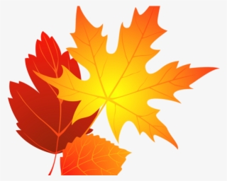 Leaves Clipart Oval Leaf - Fall Leaves Png Clipart