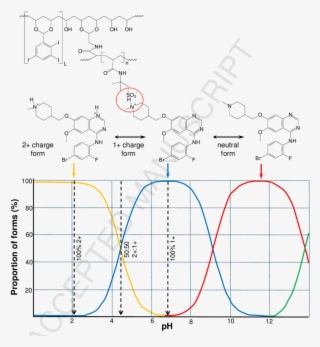 Ionic Interaction Of Dc Bead™ With Vandetanib (top) - Diagram
