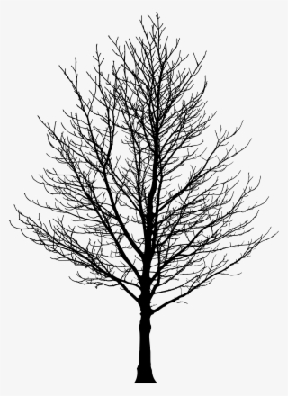 This Free Icons Png Design Of Barren Tree Silhouette
