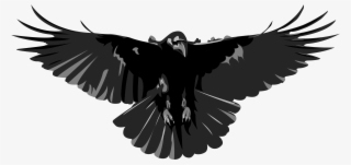 Bottle Cap Design Made For A Friend's Home Brewing - Front View Of A Crow