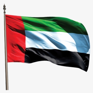 Raise It High Raise It Proud - علم الإمارات على الوجه