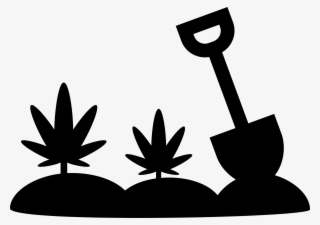 Cultivation Computer Icons Medical Transprent Png Free - Cannabis