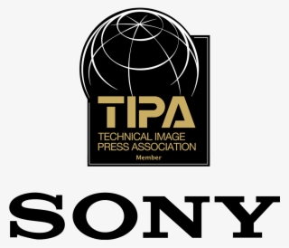 Sony Celebrates Record Success At 2018 Tipa Awards - Sony