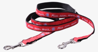 Strap