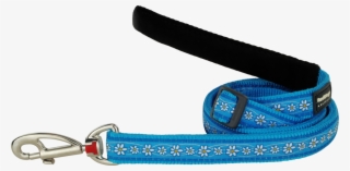 Strap