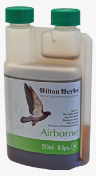 Healthy Respiration For Pigeons - Hilton Herbs