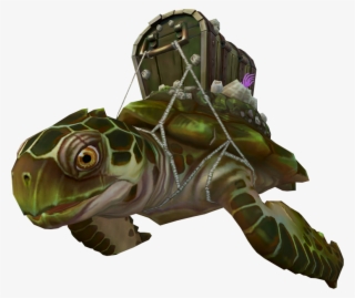 Treasure Turtle