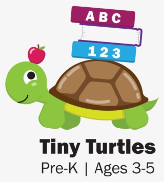 Tiny Turtle Cartoon