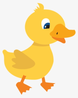 Duckling - Duck