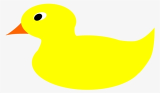 Duck Fauna Beak - Duck