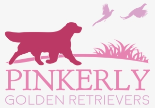 Pinkerly Golden Retrievers - Guard Dog