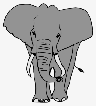 elefante - gajah vektor