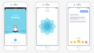 Kaia Phones - Iphone