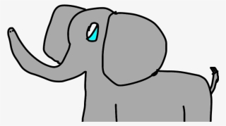 Elefante - Indian Elephant