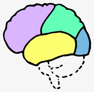 Psychology Brain Clipart - Clip Art