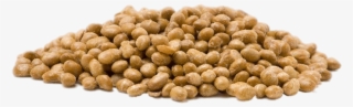Food - Soybeans - Chickpea