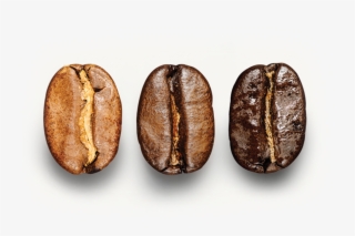Coffee Beans Roasted - Starbucks Coffee Beans