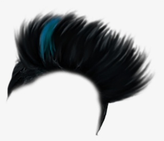 Picsart Hair PNG & Download Transparent Picsart Hair PNG Images for Free -  NicePNG