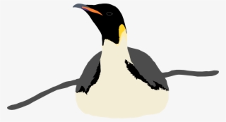 Transparent Emperor Penguin