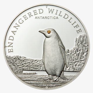 Emperor Penguin, Cit Coin Invest Trust Ag / B - Jmj English Medium School Athani