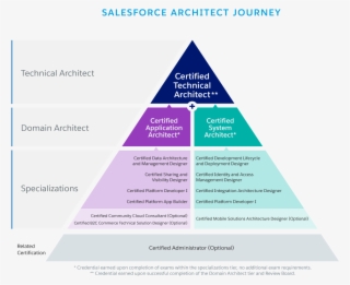 Salesforce Architect
