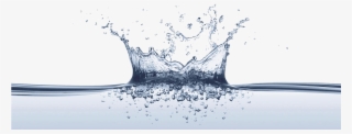 Rheopak's Proprietary Formulation Contains A Synthetic - Thank You Slide Water