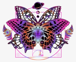 A Geometria Da Borboleta De Arte Original - Papilio Machaon