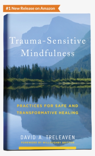 Trauma Sensitive Mindfulness Book Home