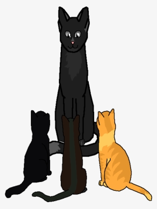 Wolfstar, Nightpaw, Snakepaw, And Lionpaw - Black Cat
