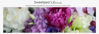 Sweetpea's Home - Common Peony
