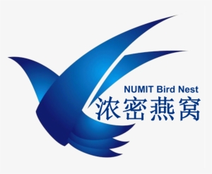 Numit Group - Bird Nest Logo Design