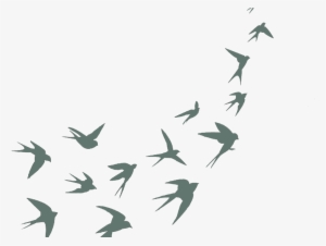 Swallows Silhouette