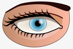 Eyes At Getdrawings Com Free For Personal - Part Of Body Eye