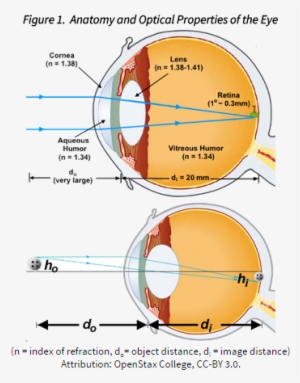 In The Laboratory, The Most Common Instrument For Image - Focal Point Eye