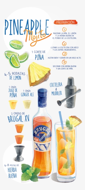 Cocktail Recipes // Brugal Xv Vector Illustrations - Illustration