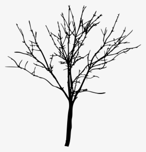 bare trees png - bare tree png silhouette