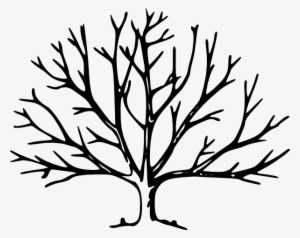 Bare Tree Png - Tree Vector Free