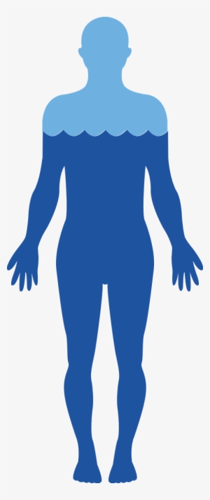 Lubricates Our Moving Parts - Water In The Body Png