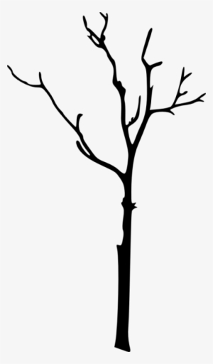 Free Png Bare Tree Silhouette Png Images Transparent - Portable Network Graphics