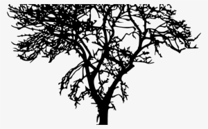 18 Bare Tree Silhouette Vol 2 Onlygfxcom - Transparent Tree Silhouette