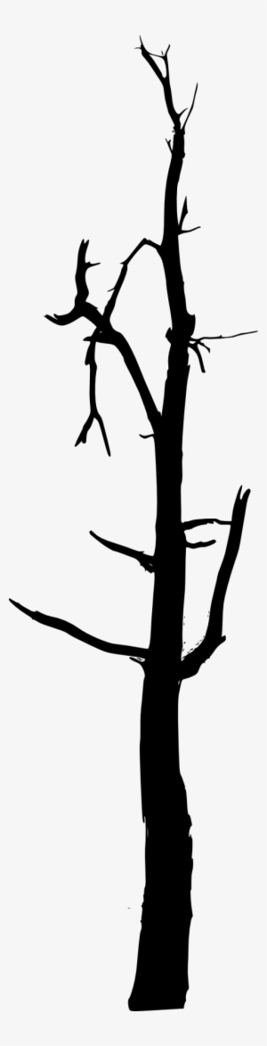 Free Png Simple Bare Tree Silhouette Png Images Transparent - Burnt Tree Silhouette