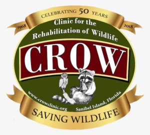 Crow 50th Anniversary - Boar