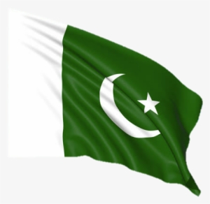 Report Abuse - Pakistani Flag For Picsart