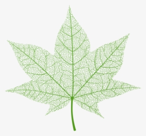 Transparent Green Autumn Leaf Png Clip Art Image - Autumn Leaves Png