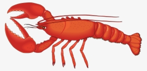 Lobster Clipart Sebastian - Lobster Png
